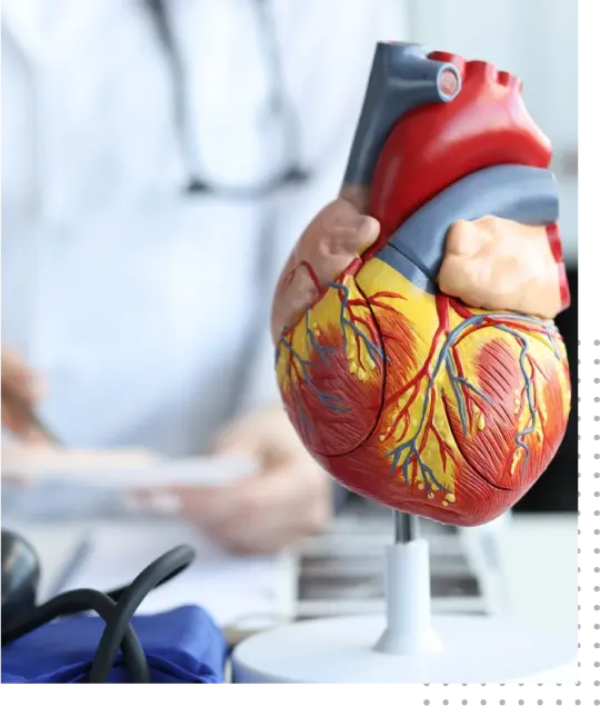 Medical Billing Services for Cardiology