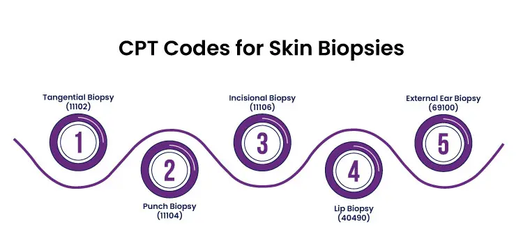 Dermatology CPT Codes - Skin Biopsies, Lesions Excision & Mo