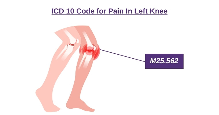 knee joint pain icd 10