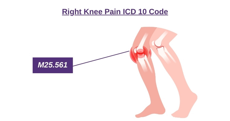 ICD 10 Code for Right Knee