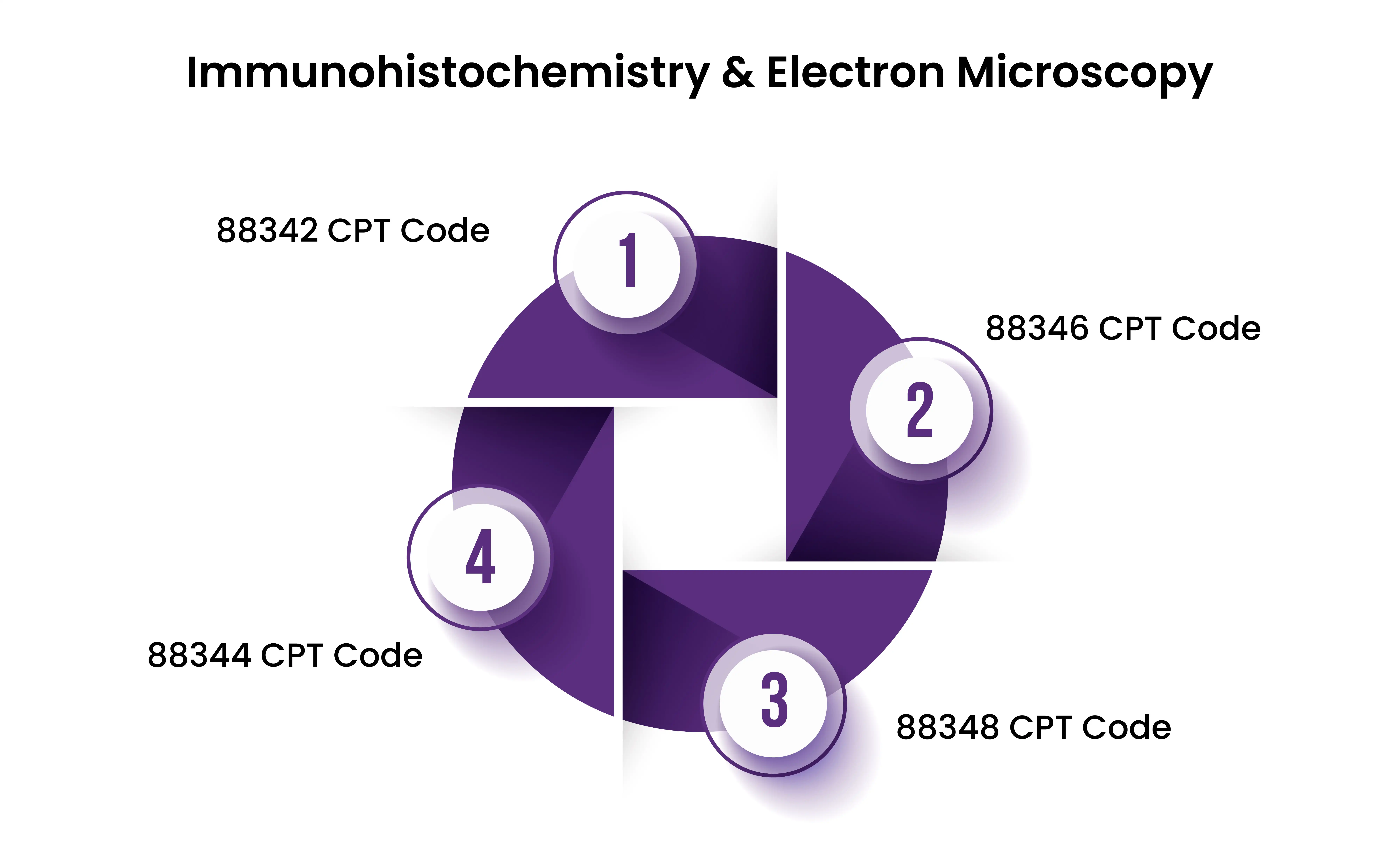 immunohistochemistry-and-electron-microscopy