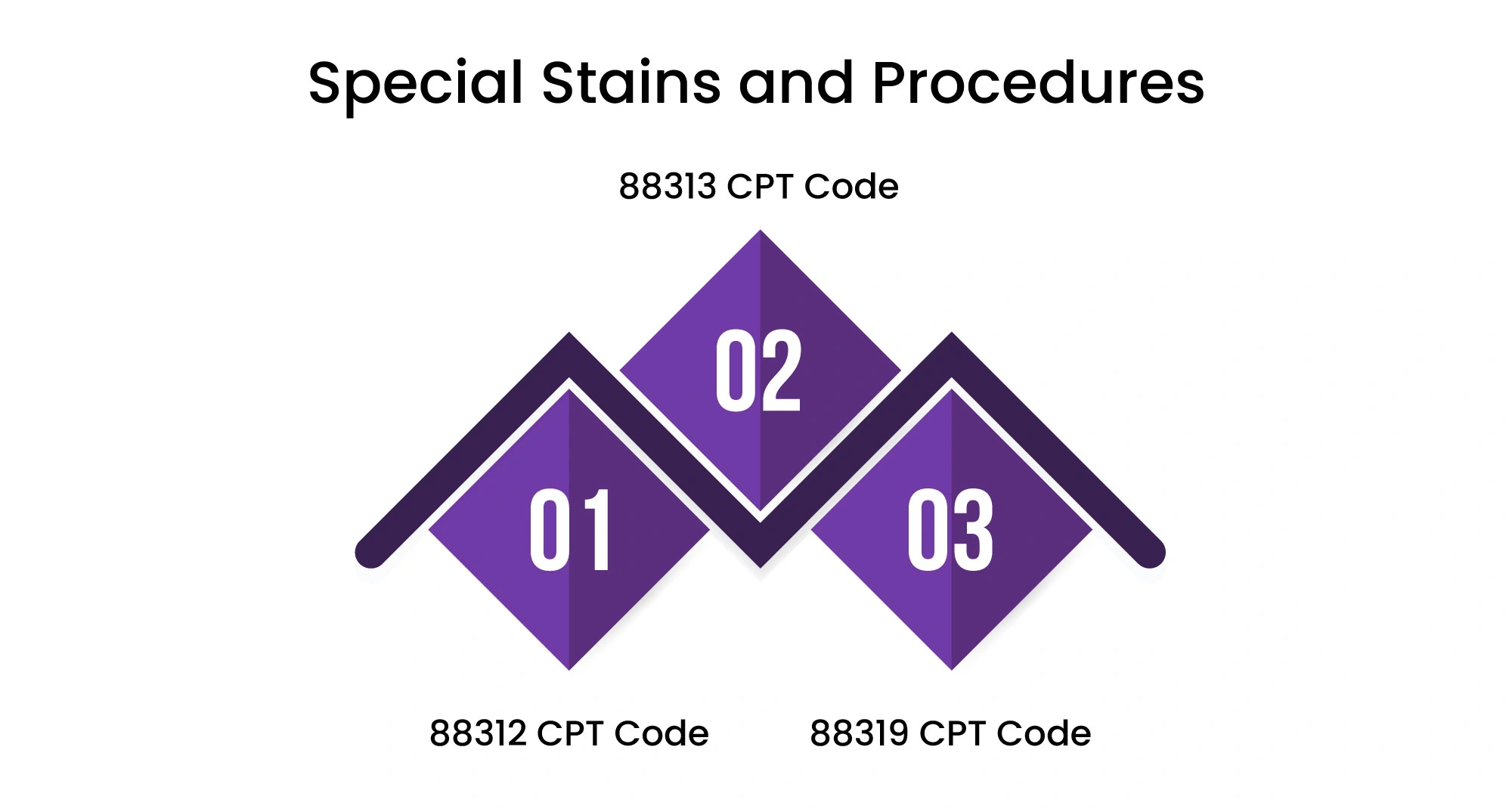 special-stains-and-procedures