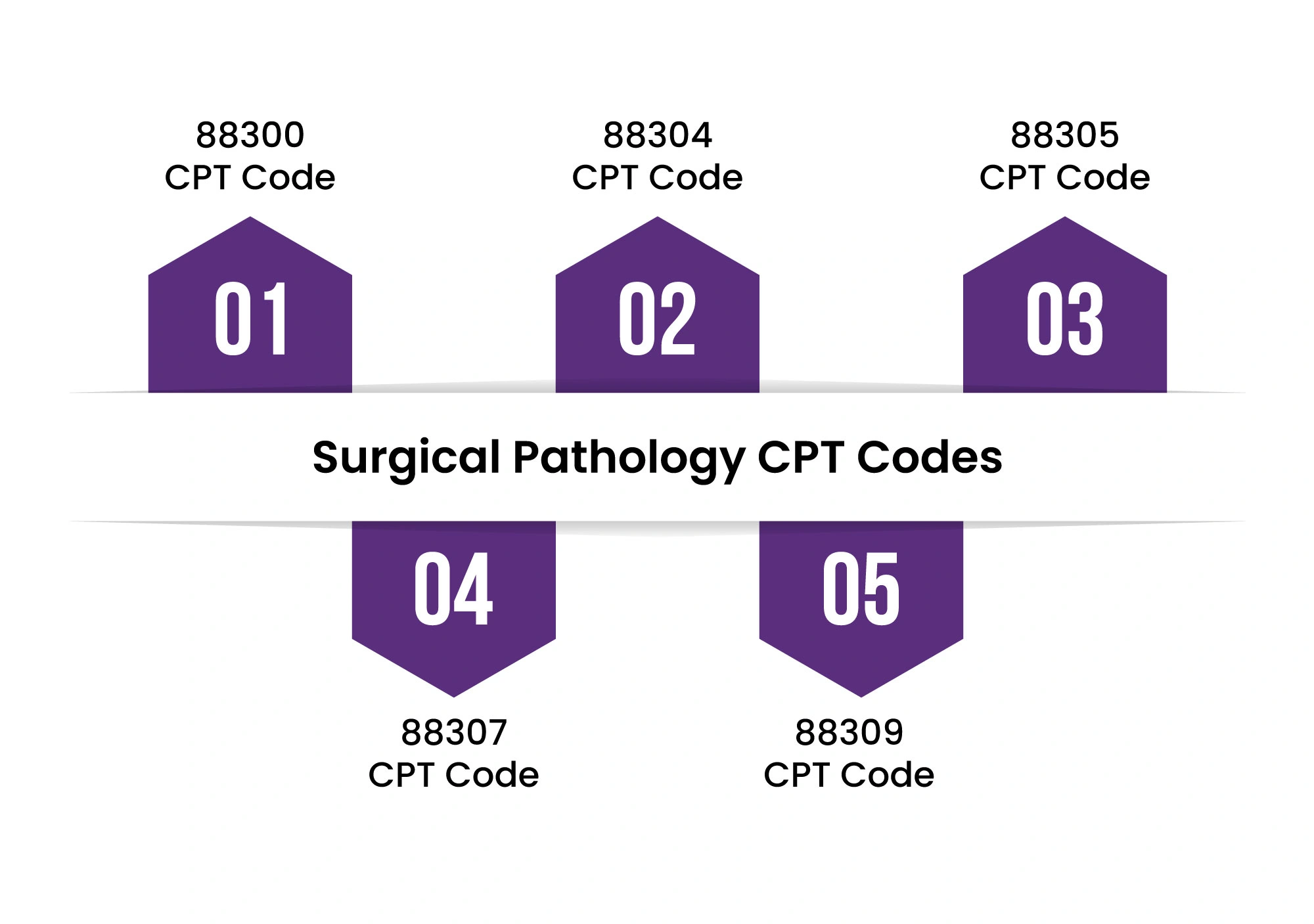 surgical-pathology-cpt-codes